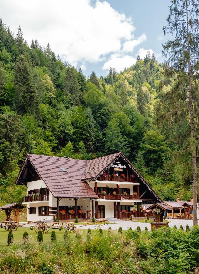 Pensiunea Agroturistica Casa Maria Rodna Bagian luar foto
