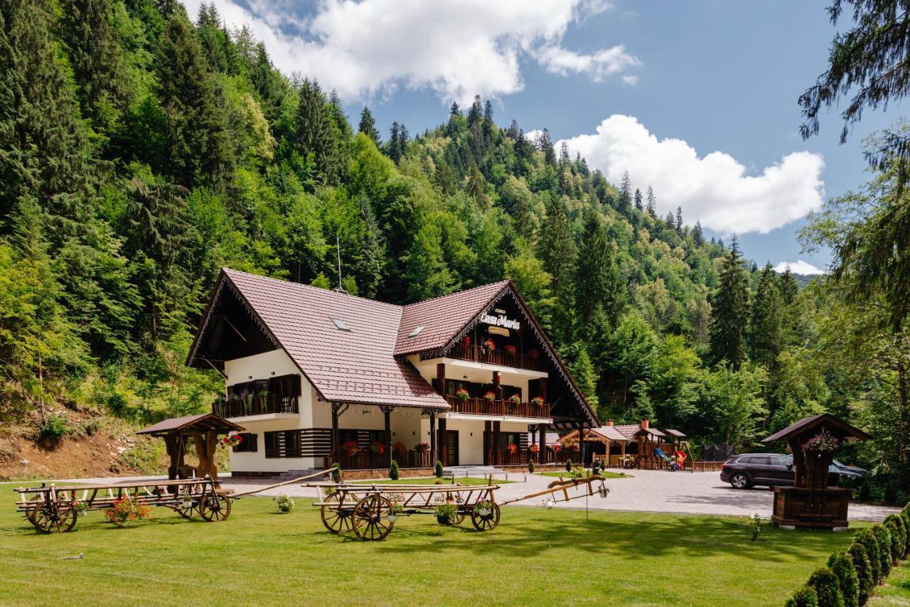 Pensiunea Agroturistica Casa Maria Rodna Bagian luar foto